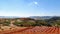 Chinese terrace farm with red soil