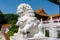 Chinese traditional culture, ancient Chinese marble stone female lion sitting lion in front of New Yuan Ming Palace in Zhuhai,