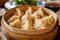 Chinese traditional food dumplings. Asian cuisine