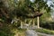 Chinese traditional gazebo in woods of sunny winter afternoon