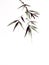 The Chinese traditional ink brush painting of bamboo leaf and stem