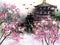 Chinese traditional painting with pagoda surronded by blossoming cherry trees.