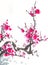 Chinese watercolor cherry painting