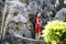 Chinese woman in cheongsam by a fountain in Mudu ancient town