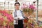 Chinese woman gardener is standing with flowers Oenothera lindheimeri in orangery