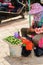 Chinese woman selling betel nuts