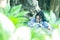 Chinese woman in traditional Blue and white Hanfu dress Climb over the stone table