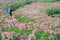 Chinese worker spraying pesticides