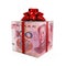 Chinese Yuan Money Gift Box