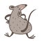 Chinese zodiac animal, rat as 2020 New Year symbol