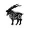 Chinese zodiac sign of the year of the goat. Black goat with white ornament. Zodiac animal