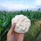 chinesse pao bread in the garden field