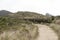 Chingaza, Colombia. Path through a moorland landscape, native plants and hills