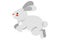 Chinnese Icon Rabbit