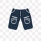 Chino Shorts vector icon isolated on transparent background, Chi