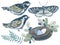 Chinoiserie birds butterfly and plants. Exotic flying animals eastern motif exotic blue color illustration elements