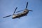 Chinook over Anglesey