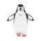 Chinstrap Penguin as Aquatic Flightless Bird with Flippers for Swimming in Standing Pose Vector Illustration