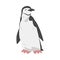 Chinstrap Penguin as Aquatic Flightless Bird with Flippers for Swimming in Standing Pose Vector Illustration