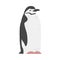 Chinstrap Penguin as Aquatic Flightless Bird with Flippers for Swimming in Standing Pose Vector Illustration