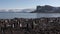 Chinstrap penguin colony and antarcica landscape