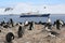 Chinstrap penguin rookery in Antarctica