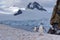 Chinstrap penguin walking on snow in Antarctica