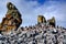 Chinstrap Penguins standing on bizarrely shaped stone hill, stone desert at Halfmoon Island, Antarctica