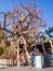 Chip and Dale\'s Tree House at the Toontown section of the Disneyland Park