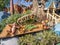 Chip and Dale\'s Tree House at the Toontown section of the Disneyland Park