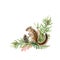 Chipmunk animal on pine branch. Watercolor hand drawn illustration. Funny rodent with fluffy fur forest decor element