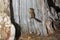 Chipmunk clinging to the vertical side of an old stump