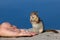 Chipmunk Eating a Nut from Tourists Hand