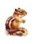 Chipmunk Eating Nuts Watercolor Wild Animals Illustration Hand Painted