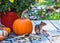 Chipmunk with fall still life