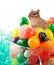 Chipmunk in the jellybeans