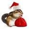 Chipmunk in red Santa Claus hat with Santas bag