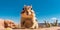 Chipmunk sitting on stones, blurred desert with blue sky on background