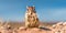 Chipmunk sitting on stones, blurred desert with blue sky on background