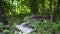 Chipmunk on stone at forest. Striped rodent of family squirrel. Wild animal