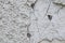 Chipped and cracked rough grungy texture of white plastered stone wall