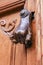 Chipped doorknocker with hand shape on wooden door