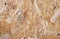 Chipped wooden plywood plank panel top view graphic texture template