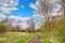 Chippewa River Trail in Spring