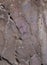Chiquita Cave prehistorical paintings, Canamero, Spain