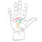 Chiromancy hand with lines of life, love, mind and destiny. palmistry vector drawing illustration