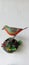 chirping bird toy