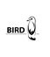 Chirping bird vector logo design