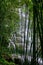 Chishui waterfall