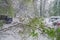 Chisinau, Republic of Moldova - April 20, 2017: Tree branch with green spring leaves broken by heavy snow, in dormitory area